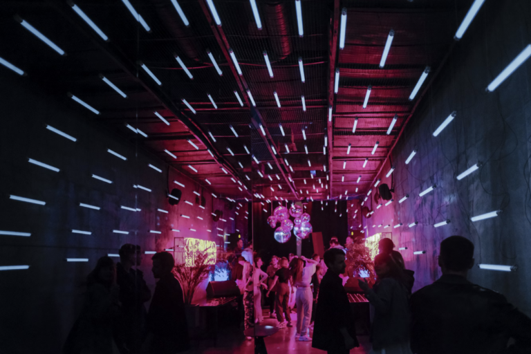 themed event dj